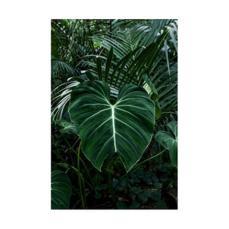 PhotoINC Studio 'Tropical 3' Canvas Art,12x19